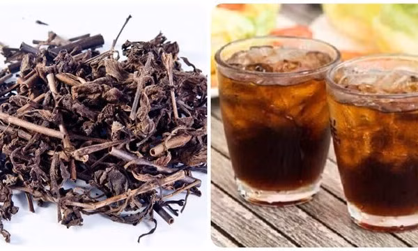 Uống nước nhân trần có tốt cho sức khoẻ?