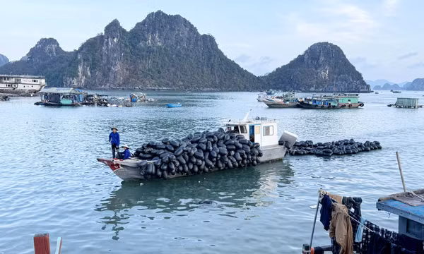 Trợ lực để doanh nghiệp vượt khó sau bão