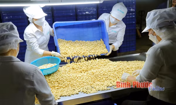 Bài 1: Nâng cao giá trị hạt điều 