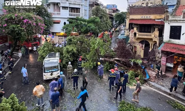 Hà Nội miễn giảm thuế cho người bị ảnh hưởng của bão Yagi