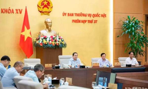 Hoàn thiện quy định về chính sách thuế tiêu thụ đặc biệt