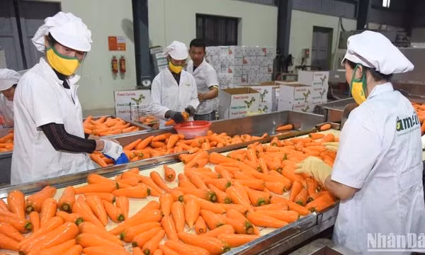 Giải pháp giữ đà tăng trưởng nông nghiệp