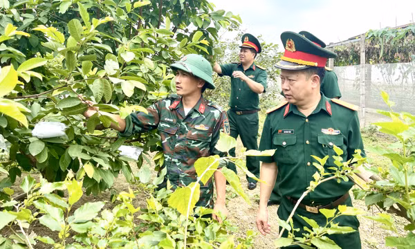 Tạo khí thế mới, động lực mới