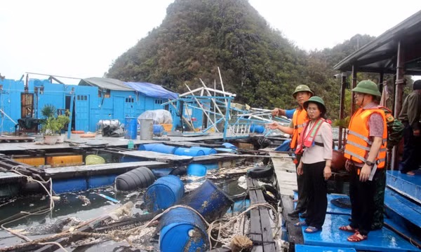 Đồng chí Phó Bí thư Thường trực Tỉnh ủy kiểm tra công tác khắc phục hậu quả bão tại Vân Đồn và Cẩm Phả