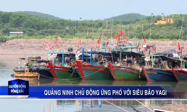 Quảng Ninh chủ động ứng phó với siêu bão Yagi
