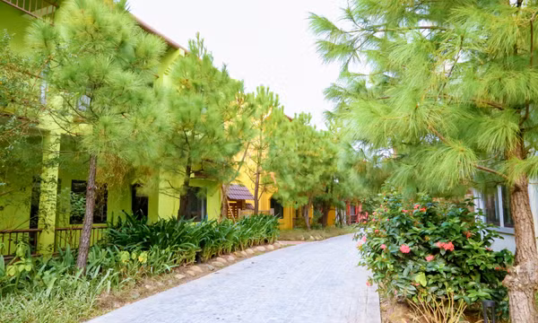 Doanh nghiệp du lịch vượt khó