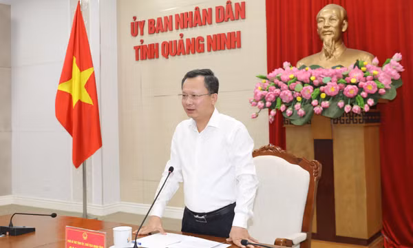 Chủ tịch UBND tỉnh gặp gỡ, chỉ đạo tháo gỡ khó khăn cho doanh nghiệp tàu du lịch