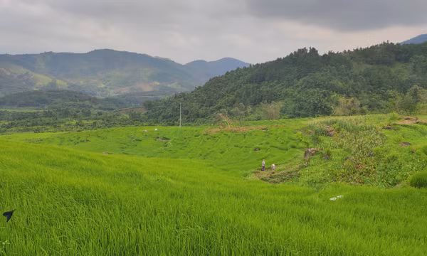 Huyện Bình Liêu: Sẵn sàng cho cao điểm du lịch mùa thu đông