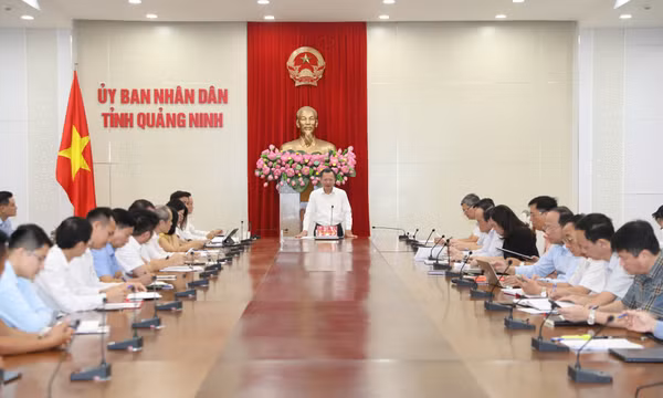 UBND tỉnh làm việc với Vietinbank, bàn giải pháp hỗ trợ khách hàng sau bão