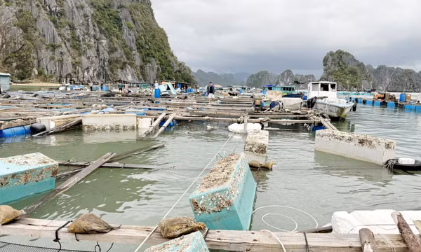 Triển khai thực hiện chính sách khoanh nợ cho khách hàng vay vốn bị thiệt hại do cơn bão số 3 tại các tổ chức tín dụng