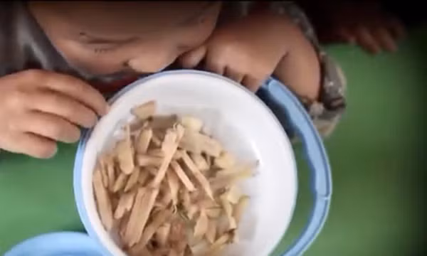 Học sinh mầm non ăn cơm với gừng chấm muối, huyện Mù Cang Chải nói gì?