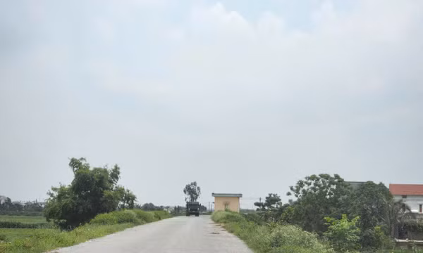 Thái Bình cấm các loại xe cơ giới đi trên đê
