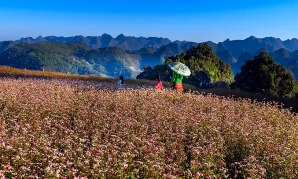 4 điểm đến ngắm thu ở Việt Nam