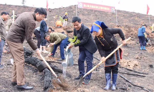 Vì mục tiêu sinh kế bền vững