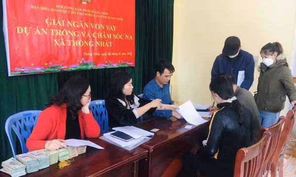Giải ngân 10 tỷ đồng hỗ trợ nông dân phát triển sản xuất