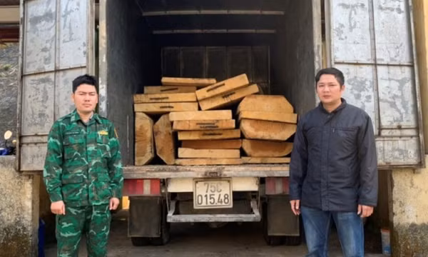 Bí mật bên trong xe tải đông lạnh bị bắt giữ