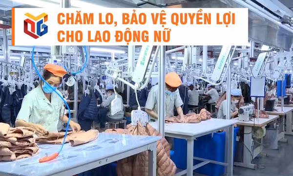 Chăm lo, bảo vệ quyền lợi cho lao động nữ