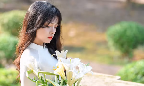 Hoa loa kèn xuống phố dịu dàng tinh khôi gọi tháng tư về