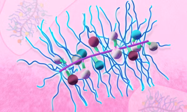 Nhà khoa học tạo thành công hạt nano dẫn thuốc điều trị ung thư máu