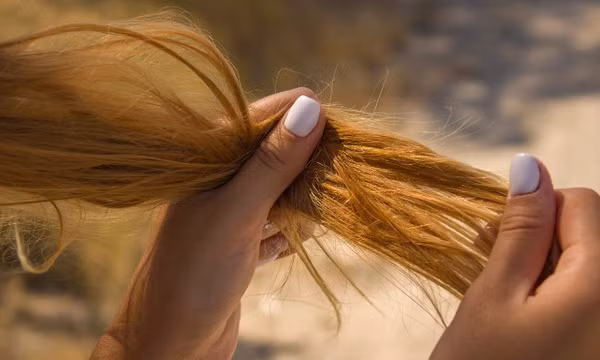 7 biện pháp đơn giản giúp giảm tóc khô gãy