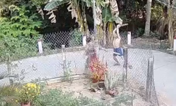 Người đàn ông đánh hàng xóm tử vong