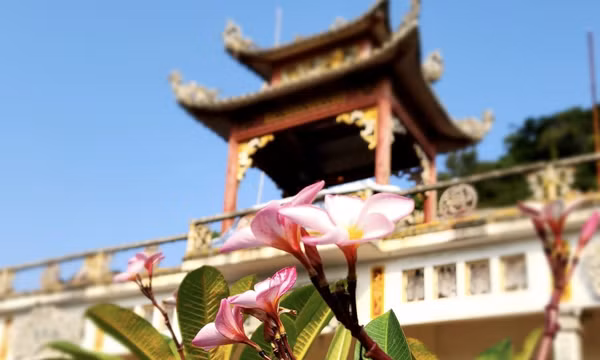 Thăm chùa Vạn Triều