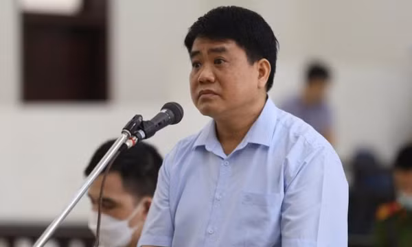 Ông Nguyễn Đức Chung cho người đang trốn nợ trồng cây xanh gây thiệt hại gần 35 tỷ đồng