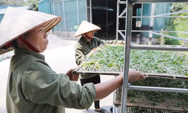 Gỡ khó trong quá trình tiếp cận vốn tín dụng