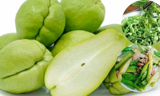 Có thể bị thiếu dinh dưỡng do ăn su su sai cách