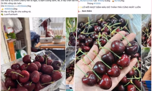 Chuyên gia thực phẩm nói về loại cherry giá rẻ giật mình