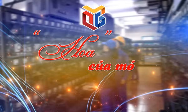 "Hoa" ở Mỏ