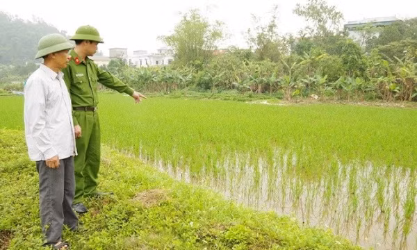Giăng lưới bẫy chuột, vô tình làm hàng xóm bị điện giật tử vong