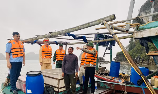  Phần lớn các trường hợp NTTS trái phép trên Vịnh Hạ Long đã tự tháo dỡ, di dời lồng bè