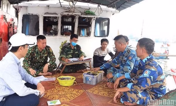 Tập trung các giải pháp giúp ngành thủy sản sớm gỡ “thẻ vàng” của EC