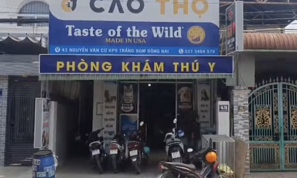 Nhân viên thú y bị chó có biểu hiện bệnh dại cắn