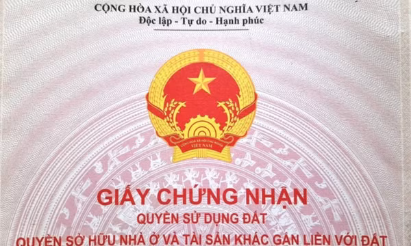 Ghi tên tất cả thành viên hộ gia đình vào một sổ đỏ: Nên hay không?