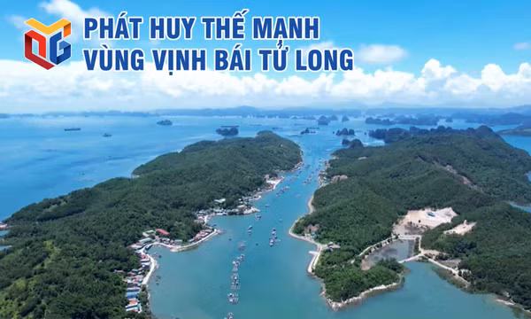 Phát huy thế mạnh vùng vịnh Bái Tử Long