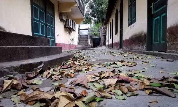 Bộ Văn hóa Thể thao và Du lịch lên tiếng về lời kêu cứu ở Hãng phim truyện Việt Nam