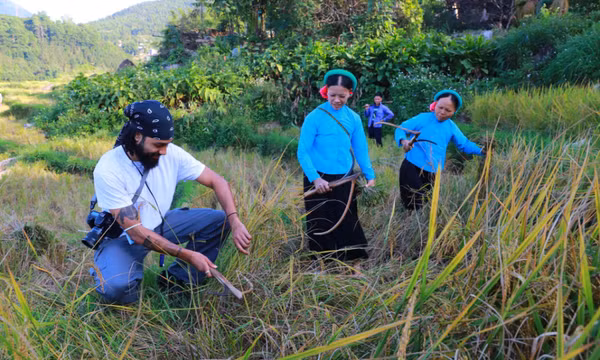 Bình Liêu: Nâng cao tiêu chí thu nhập 