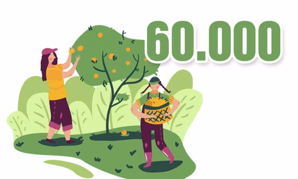 60.000 - là số hội viên nông dân đăng ký thi đua sản xuất kinh doanh giỏi trong tỉnh hàng năm