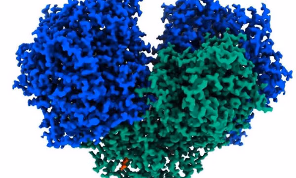 Australia phát hiện enzyme có thể biến không khí thành điện