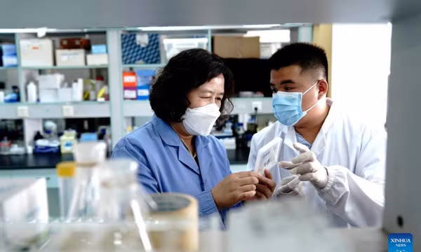 Công nghệ in 3D sinh học giúp tái tạo mô
