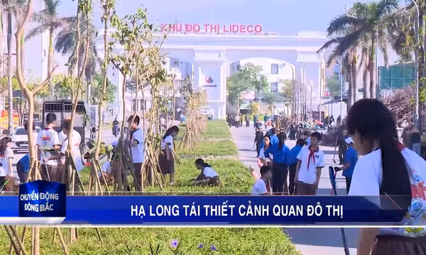 Hạ Long tái thiết cảnh quan đô thị