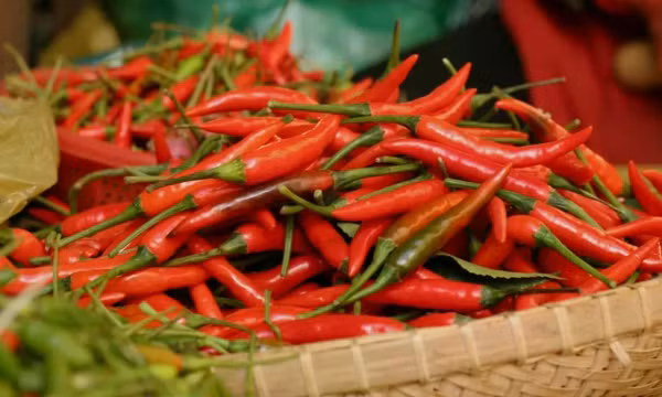 Kim ngạch xuất khẩu ớt của Việt Nam tăng gần 32%