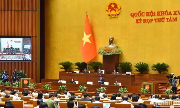 Đề xuất cấm thỏa thuận mua bán người từ khi là bào thai