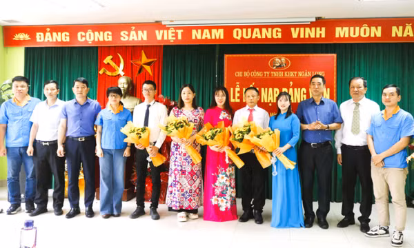 Củng cố, nâng cao chất lượng tổ chức cơ sở đảng 