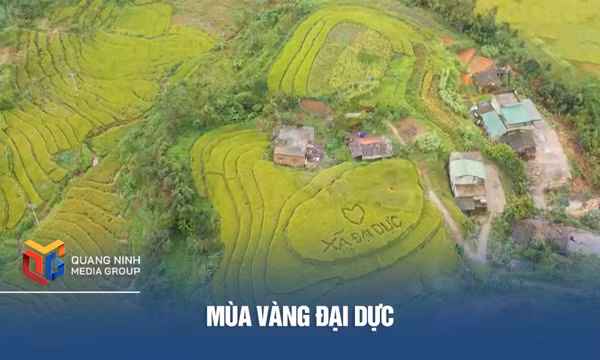 Mùa vàng Đại Dực