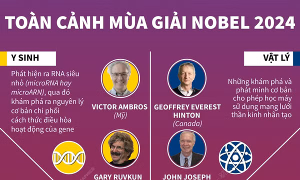 Toàn cảnh mùa giải Nobel năm 2024