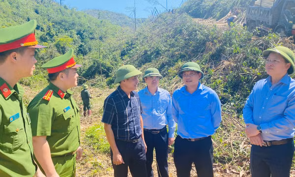 Các địa phương đẩy nhanh tiến độ kiểm đếm và triển khai đợt cao điểm thu dọn, vệ sinh rừng