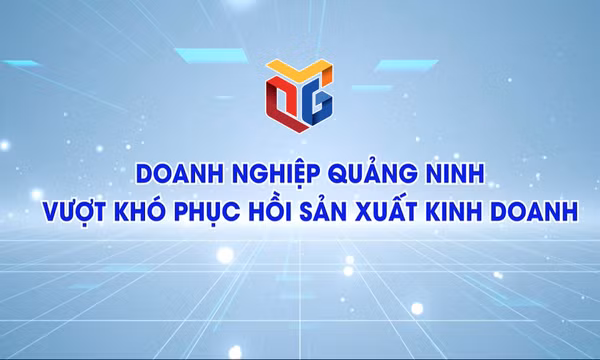 Doanh nghiệp Quảng Ninh vượt khó phục hồi sản xuất kinh doanh